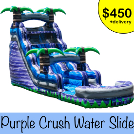 Purple Crush Water Slide