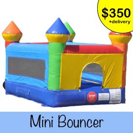mini bouncer